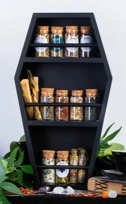 The Haunted Mansion Makeup Mausoleum Coffin Shelf Organiser Home & Gifts