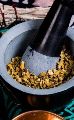 Witch Herbs Mistletoe | Witchcraft Herbs