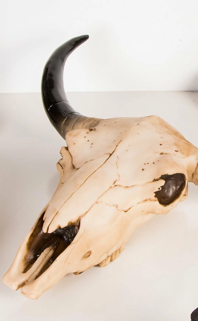 Gothic Gifts Morbid Cow Skull | Wall Plaque Home & Gifts 3 Gothic Gifts Morbid Cow Skull | Wall Plaque Home & Gifts