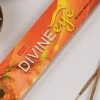 Nandita Divine Eye Incense Witchcraft