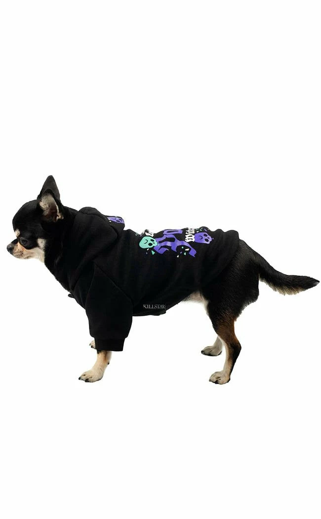 Killstar Party Pet Hoodie Sale 5 Killstar Party Pet Hoodie Sale