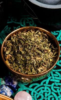 Witch Herbs Peppermint | Witchcraft Herbs
