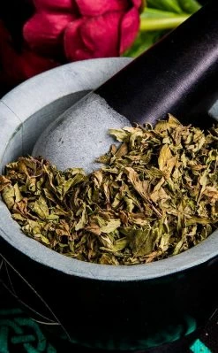 Witch Herbs Peppermint | Witchcraft Herbs