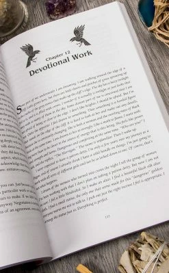 Occult Books Witchcraft Priestess Of The Morrigan