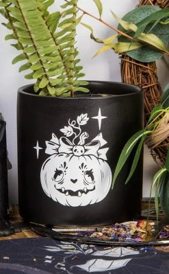 Death By Plants Pumpkin Queen Plant Pot | White On Black