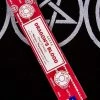 Home Decor Satya Dragon's Blood Incense