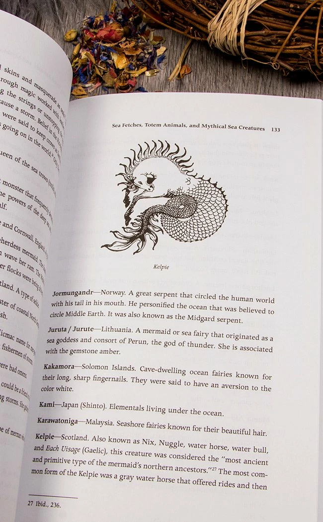 Occult Books Sea Magic | Connecting With The Ocean's Energy Witchcraft 5 Occult Books Sea Magic | Connecting With The Ocean's Energy Witchcraft