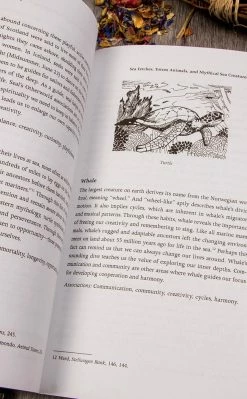 Occult Books Sea Magic | Connecting With The Ocean's Energy Witchcraft 10 Occult Books Sea Magic | Connecting With The Ocean's Energy Witchcraft