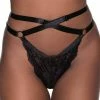Killstar She's Deadly Lace Panty | Black Clothing