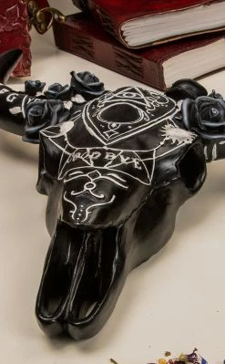 Nemesis Now Spiritual Remains Skull Wall Plaque