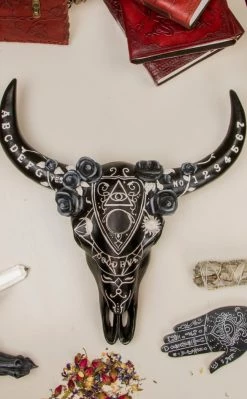 Nemesis Now Spiritual Remains Skull Wall Plaque