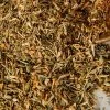 Witch Herbs St John's Wort | Witchcraft Herbs