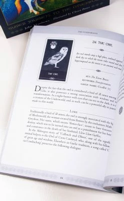 Occult Books Witchcraft The Celtic Shaman's Pack