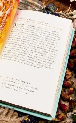 Occult Books Home Decor The Chakras Handbook