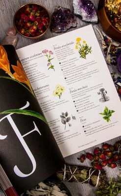 Occult Books Witchcraft The Complete Language Of Flowers