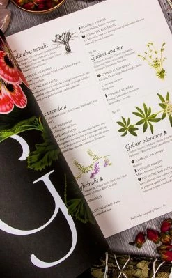 Occult Books Witchcraft The Complete Language Of Flowers