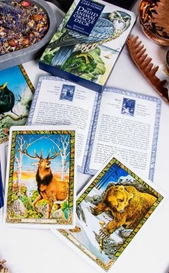 Occult Books Witchcraft The Druid Animal Oracle Deck 7 Occult Books Witchcraft The Druid Animal Oracle Deck
