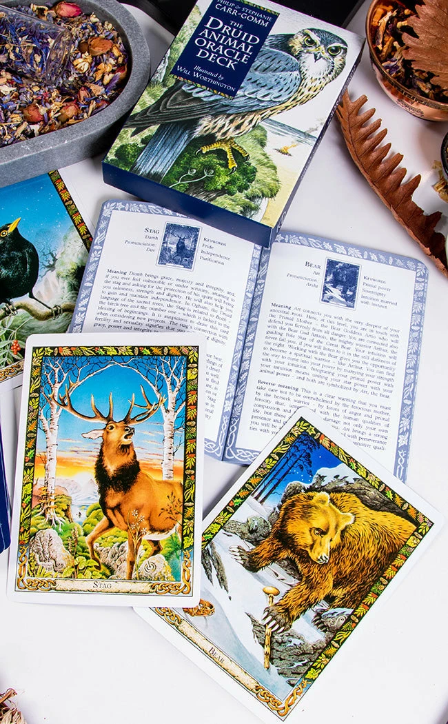 Occult Books Witchcraft The Druid Animal Oracle Deck 4 Occult Books Witchcraft The Druid Animal Oracle Deck