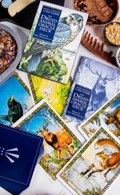 Occult Books Witchcraft The Druid Animal Oracle Deck 8 Occult Books Witchcraft The Druid Animal Oracle Deck