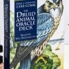 Occult Books Witchcraft The Druid Animal Oracle Deck
