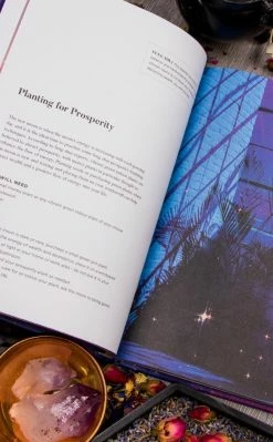 Occult Books Home Decor The Moon Fix