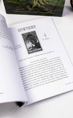 Occult Books Witchcraft The Spirit Of Nature Oracle