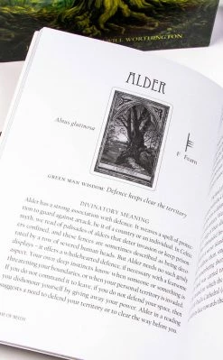 Occult Books Witchcraft The Spirit Of Nature Oracle