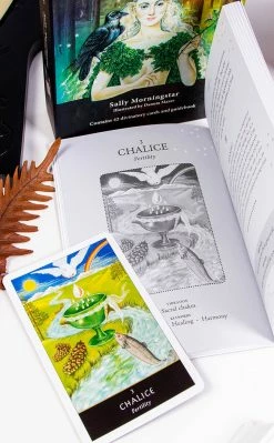 Occult Books The Witches' Oracle Witchcraft 11 Occult Books The Witches' Oracle Witchcraft