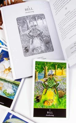 Occult Books The Witches' Oracle Witchcraft 12 Occult Books The Witches' Oracle Witchcraft