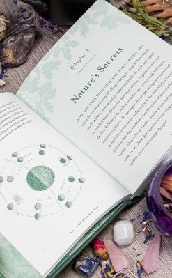 Occult Books The Witch's Way Witchcraft