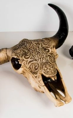 Gothic Gifts Home & Gifts Tribal Cow Skull | Wall Plaque