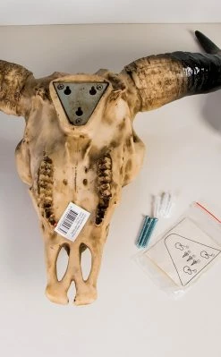 Gothic Gifts Home & Gifts Tribal Cow Skull | Wall Plaque