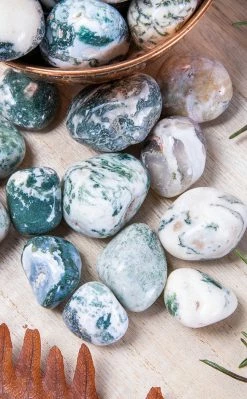 Crystals Home Decor Tumbled Stones | Tree Agate