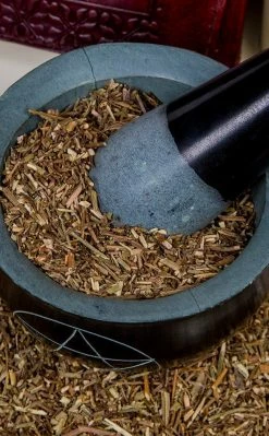 Witch Herbs Vervain | Witchcraft Herbs