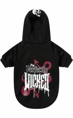 Killstar Wicked Pet Hoodie Sale