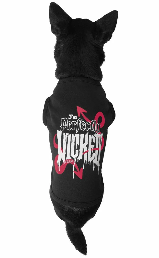 Killstar Wicked Pet Vest 3 Killstar Wicked Pet Vest