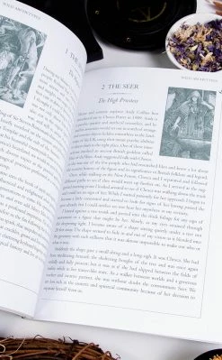 Occult Books Wild Magic: The Wildwood Tarot Workbook