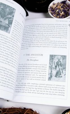 Occult Books Wild Magic: The Wildwood Tarot Workbook