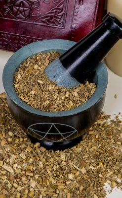 Witch Herbs Wormwood | Witchcraft Herbs